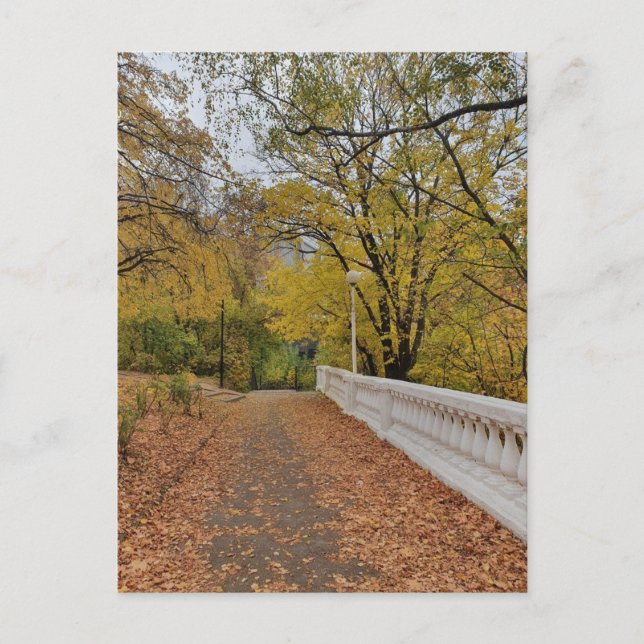 L'automne dans le vieux parc. Carte postale (Devant)
