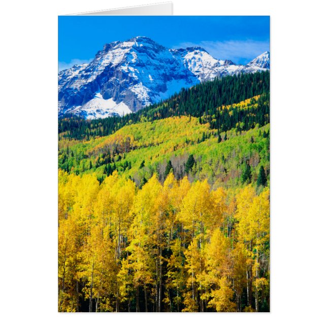 L'automne dans les Rocheuses (Devant)