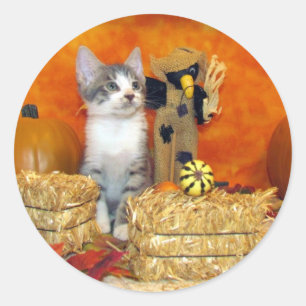 L'automne de Pork Chop - Autocollants Ronds Chat /