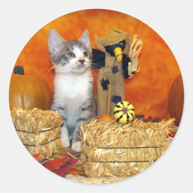 L'automne de Pork Chop - Autocollants Ronds Chat / (Devant)