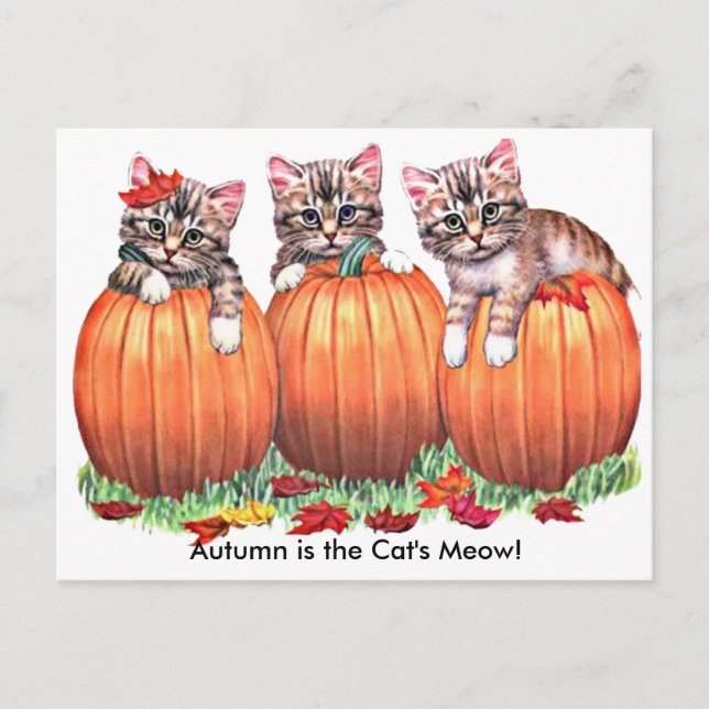 L'automne est la carte postale Meow du chat (Devant)