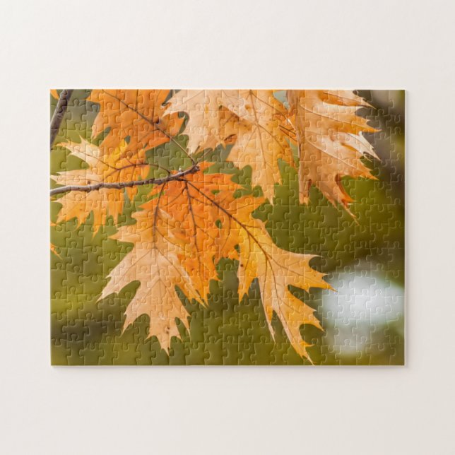 L'automne laisse un gros puzzle photo (Horizontal)