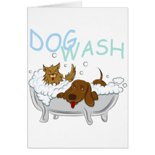 Lavage propre de chiens