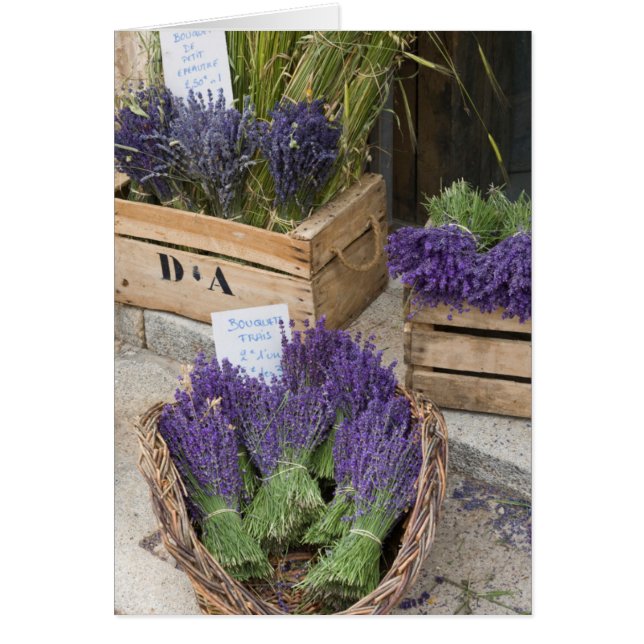 Lavande à vendre, Provence, France (Devant)