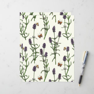 Lavande et papillons sur blanc