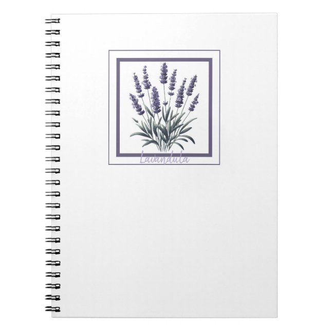 Lavande Lavandula Floral Fleur Herboriste Journal (Devant)