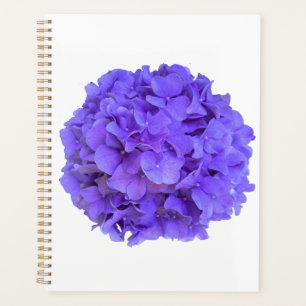 Lavande lilas violet Hydrangeas violet Fleurs