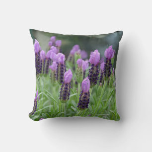 Lavande violette fleurs jettent oreiller