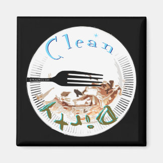 Lave-vaisselle en plaque sale Magnet