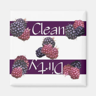 Lave-vaisselle Magnet de framboises propres ou sal