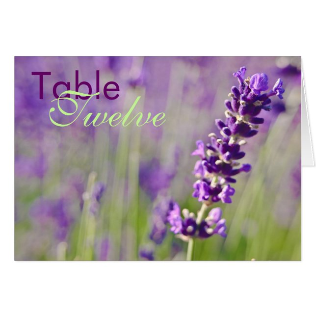 Lavendar • Carte de Tableau (Devant horizontal)