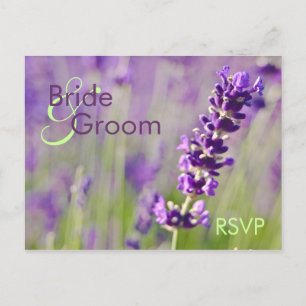 Lavendar ・ Carte postale RSVP