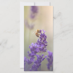 Lavender Flower Honeybee Carte photo de la nature
