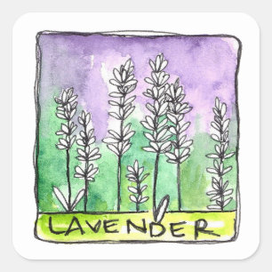Lavender Herb Tea Blend Étiquette de produit médic