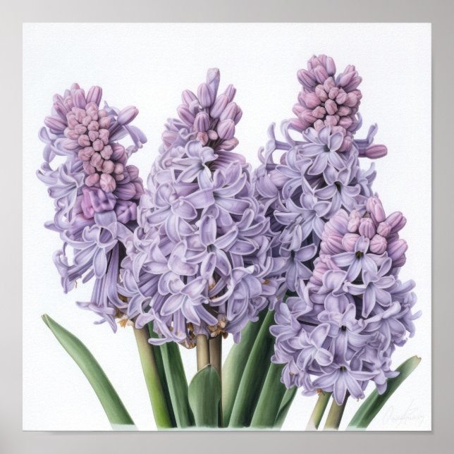 Lavender Hyacinth Flower Art Imprimer Poster (Devant)