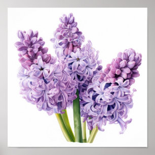 Lavender Hyacinth Flower Art Imprimer Poster