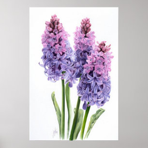 Lavender Hyacinth Flower Art Imprimer Poster