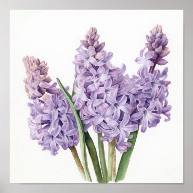 Lavender Hyacinth Flower Art Imprimer Poster (Devant)