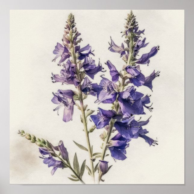 Lavender Larkspur Flower Art Imprimer Poster (Devant)