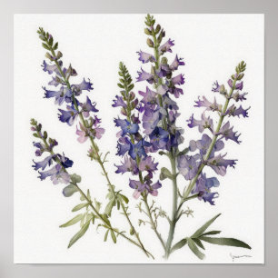 Lavender Larkspur Flower Art Imprimer Poster