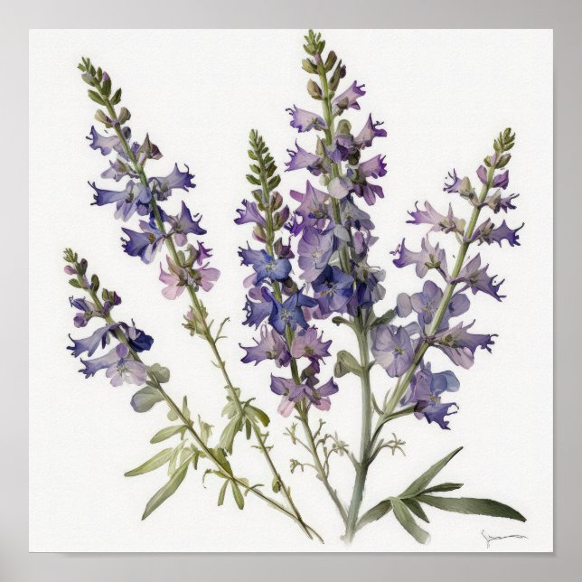 Lavender Larkspur Flower Art Imprimer Poster (Devant)