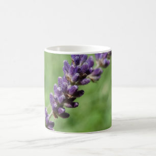 Lavender Stalk Photo Mug