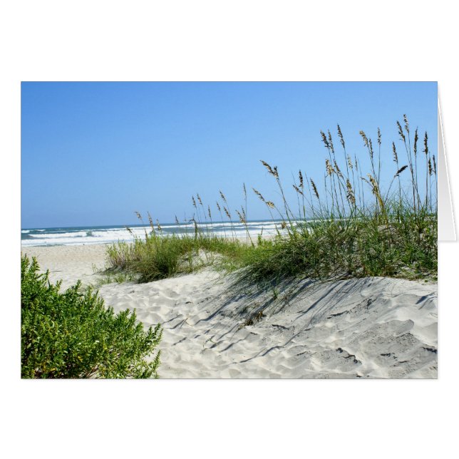 L'avoine marine à Ocracoke (Devant horizontal)