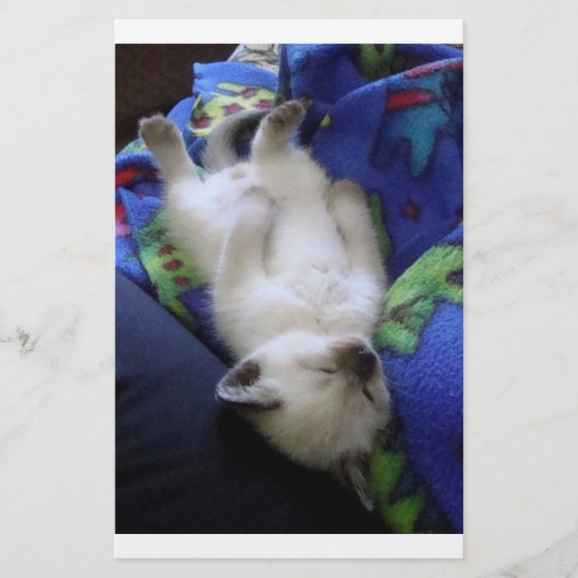 Lazy Cat (Devant)