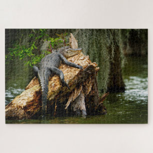 Lazy Gator Jigsaw Puzzle
