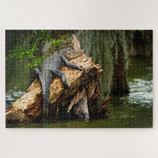 Lazy Gator Jigsaw Puzzle (Horizontal)