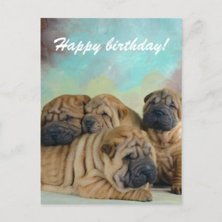 Lazy shar pei Joyeux anniversaire! carte