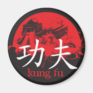 Le aimant Kung Fu