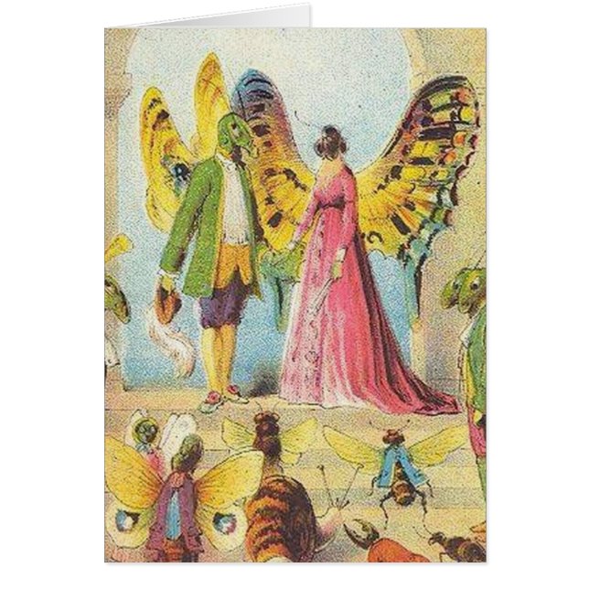 Le Bal des papillons (Devant)