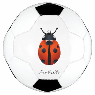 Le ballon de foot de Ladybugs