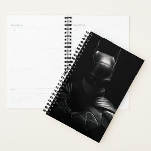 Le Batman dans l'ombre