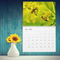 Le beau calendrier des abeilles et fleurs à chaque