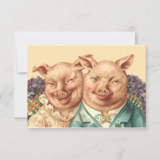 Le beau couple de cochon