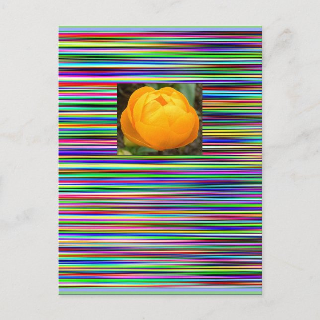 Le bijou barre la CARTE POSTALE de TULIPE (Devant)