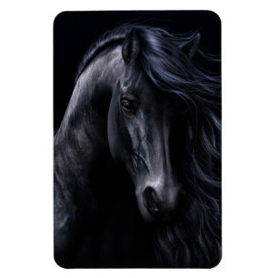 Le Black Premium Flexi Magnet