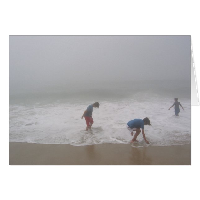 Le brouillard de Robert Moses (Devant horizontal)