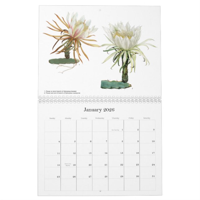 Le cactus fleurit le calendrier (Jan 2026)