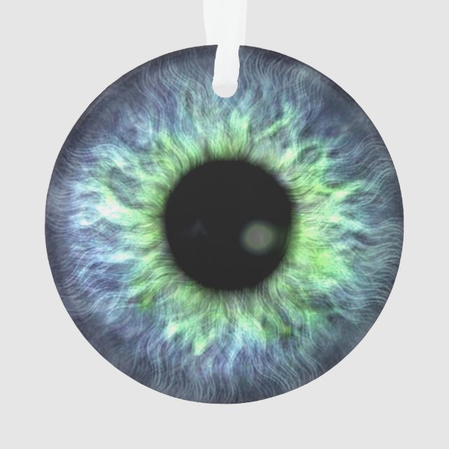 Le cadeau bleu vert Eyeball (dos)