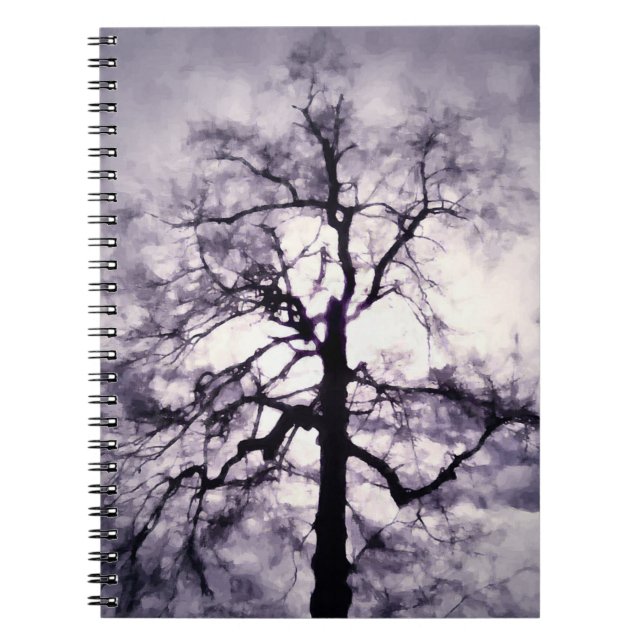 Le Cahier de Phantastes (Devant)
