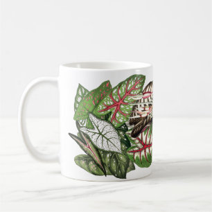 Le Caladium laisse la tasse