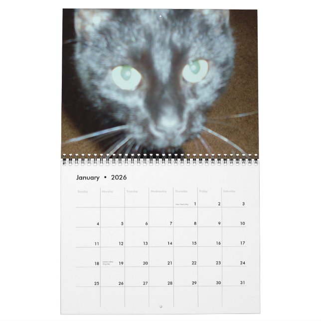 LE calendrier CHAT NOIR (Jan 2026)