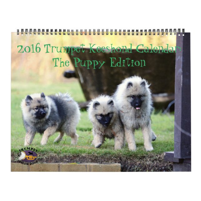 Le calendrier de Keeshond de 2016 trompettes : (Protection)