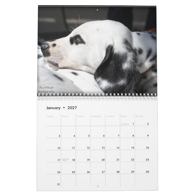 Le calendrier de la photographie 2012 de SpotShot (Jan 2027)