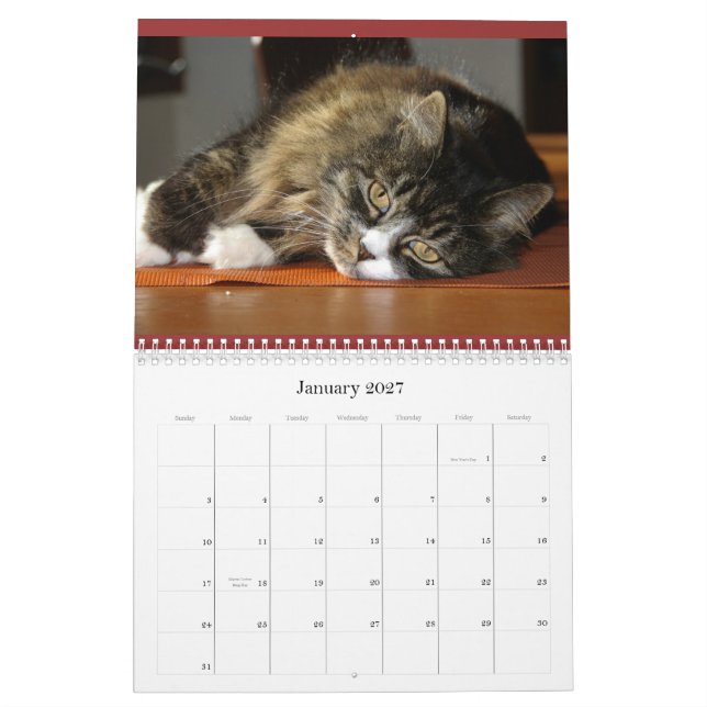 Le calendrier de Robin (Jan 2027)