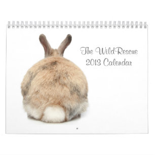 Le calendrier de WildRescue 2013 !