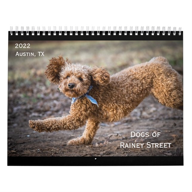 Le calendrier des chiens de Rainey Street (Protection)